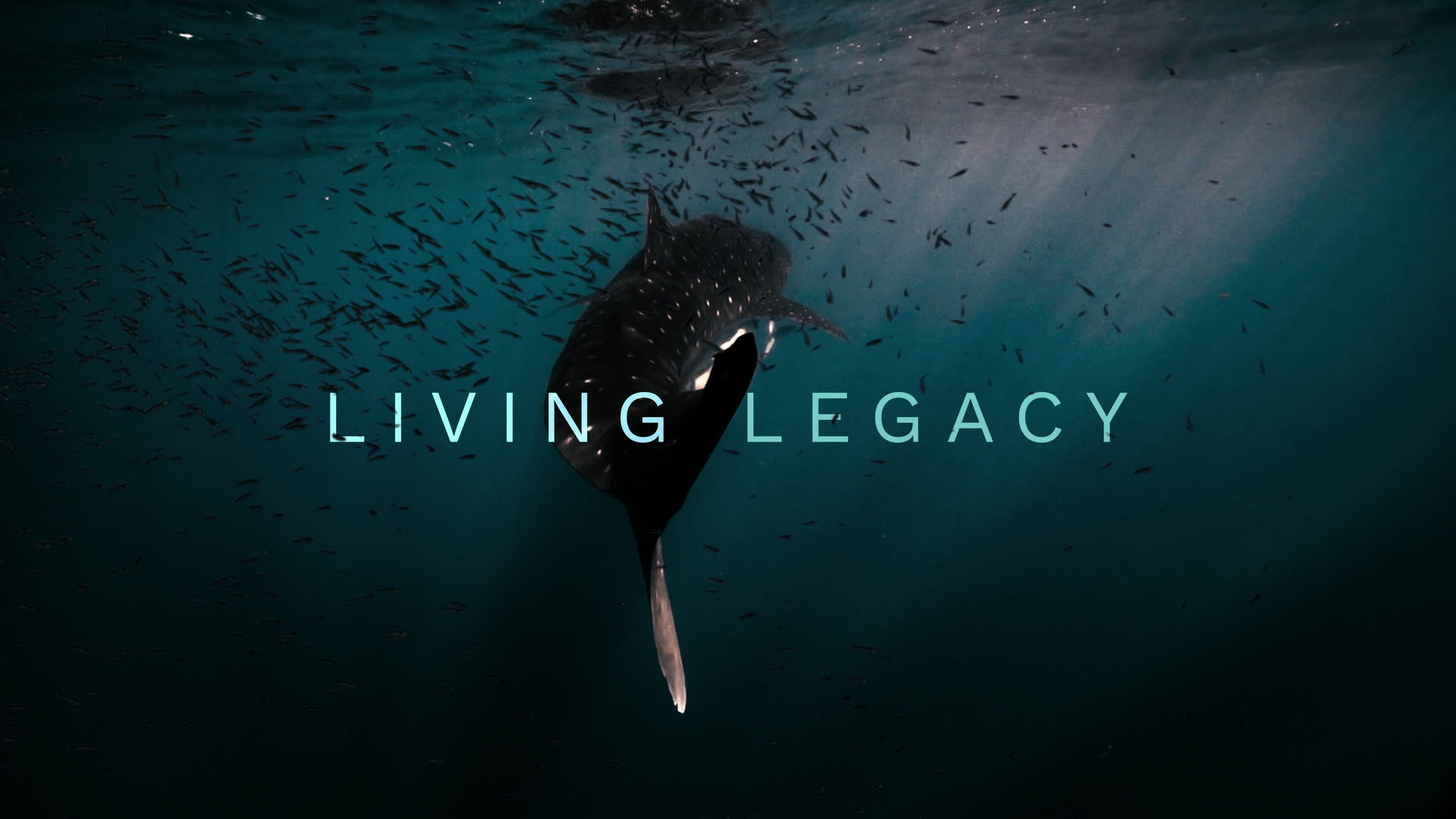 Living Legacy
